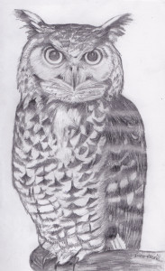 owl copy